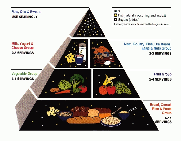 food.jpg